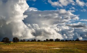 Climate Impacts in Agriculture